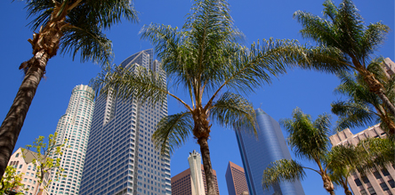 NSAC Los Angeles, also known as Behavioral Associates LA, is located in Beverly Hills, CA just north of the intersection of Wilshire Blvd. and Santa Monica Blvd. We are a group of Cognitive-Behavioral therapists unified by a belief that most effective treatments for anxiety and depression rely on scientific method.