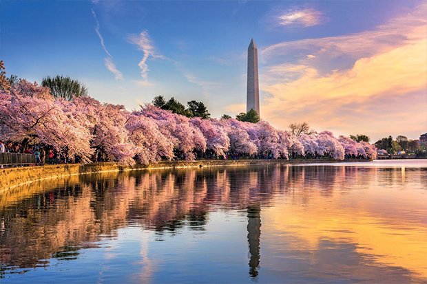 NSAC DC, also known as Social Anxiety Help, is located in the Tenleytown - American University neighborhood of northwest DC