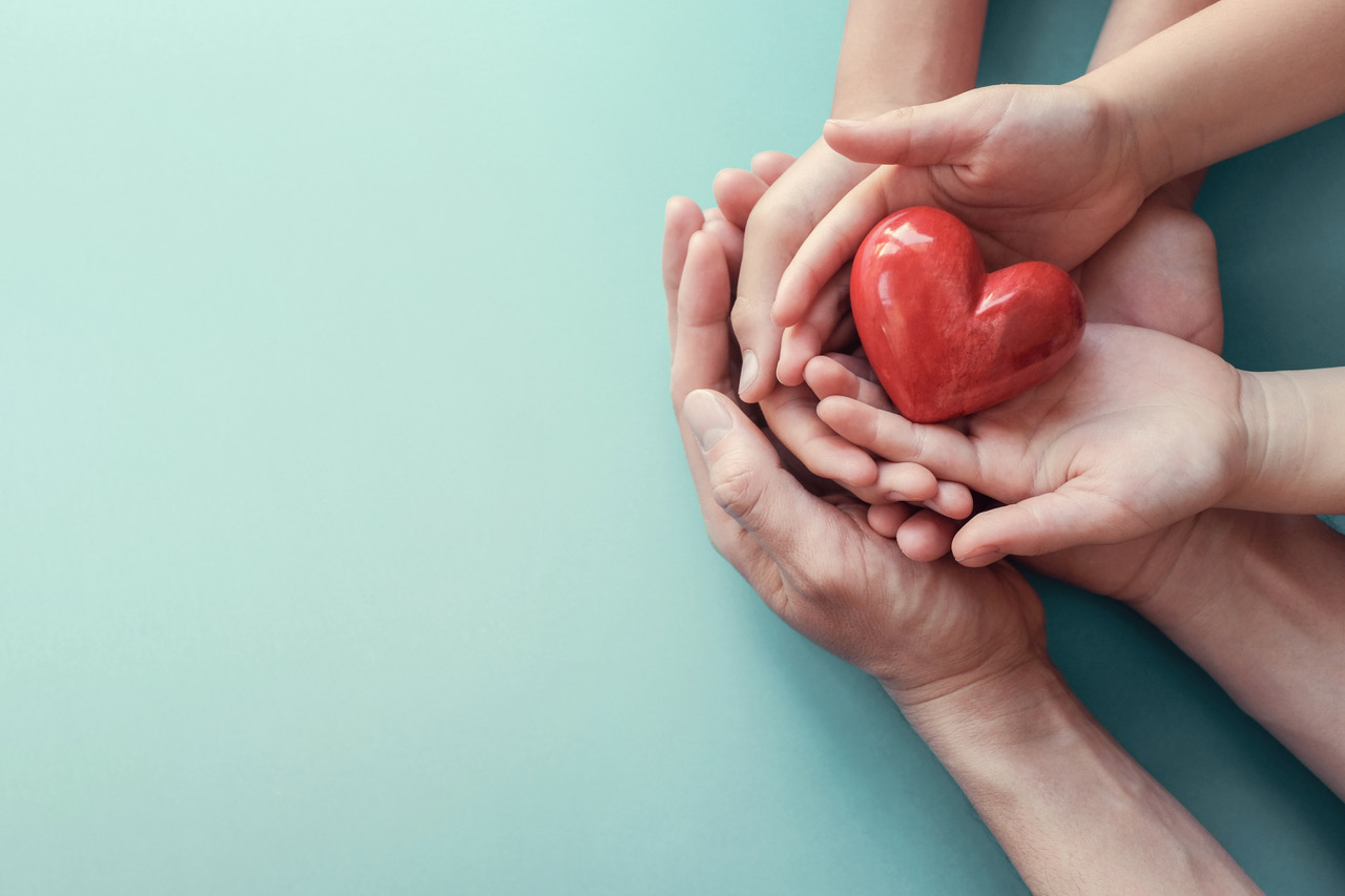 the several hands holding a heart